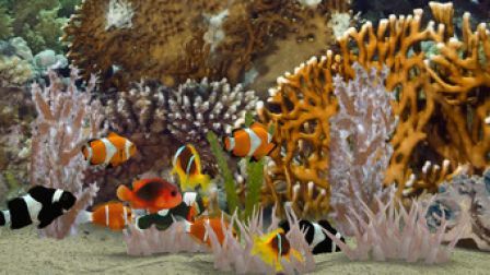 myreef-3d-aquar myreef-3d-aquar
