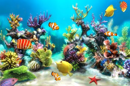sim-aquarium-3d sim-aquarium-3d