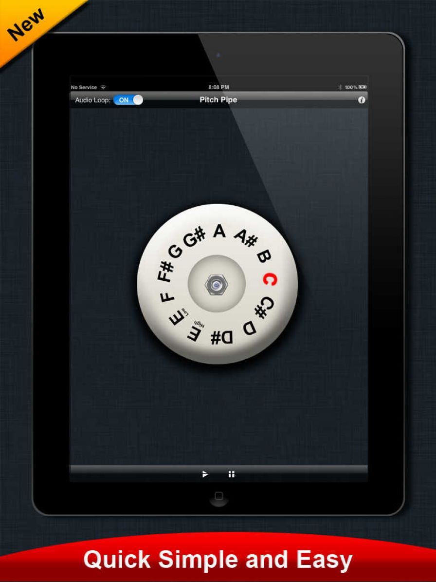 pitch-pipe ipa pitch-pipe ipa