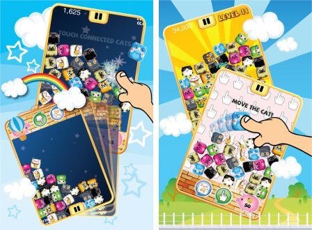 amazing-kitty-1 amazing-kitty-1