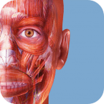 muscle-premium ipa iphone ipad muscle-premium ipa iphone ipad