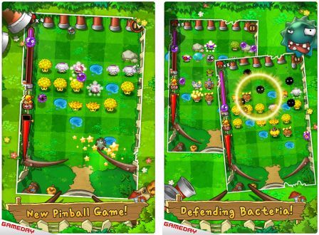 super-mushrooms-1 super-mushrooms-1