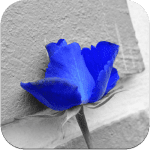 ezcolor ipa ipad iphone ezcolor ipa ipad iphone