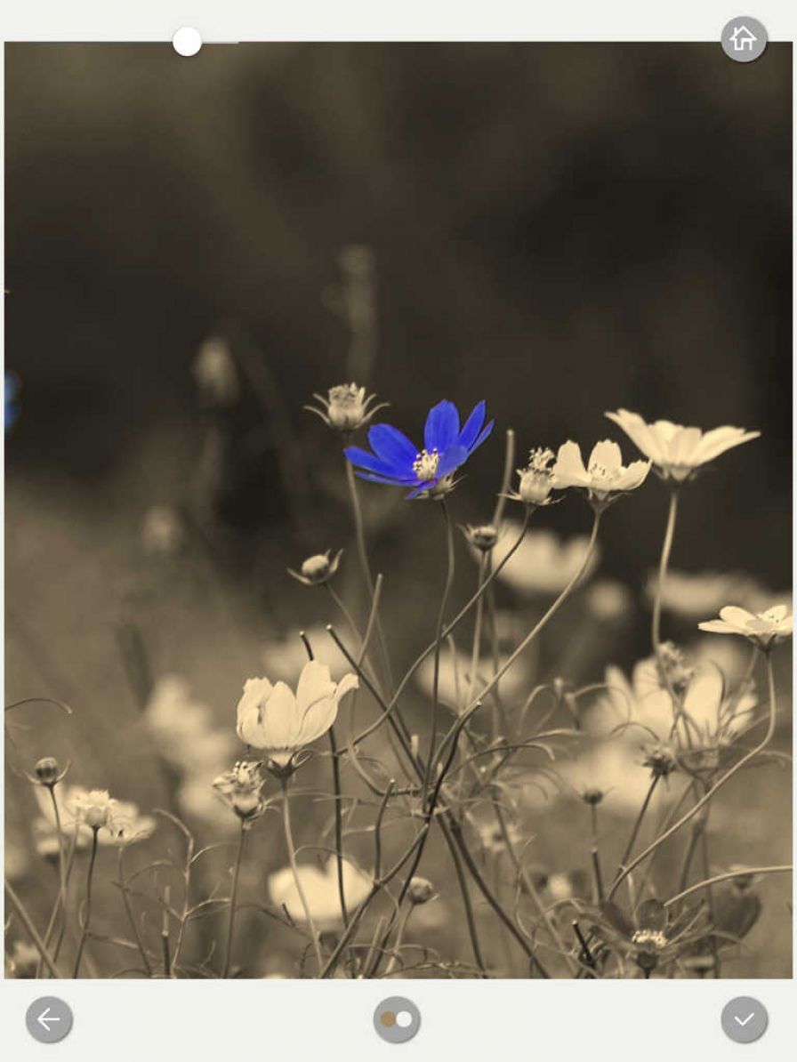 ezcolor ipa ezcolor ipa