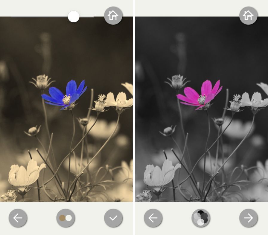 ezcolor ipa ezcolor ipa