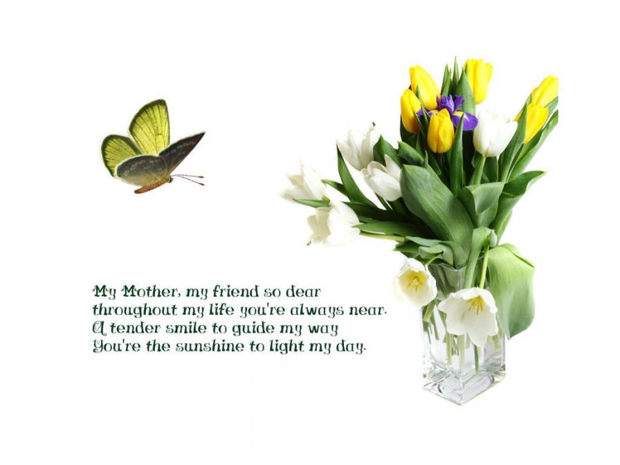 spring-cards-ipad spring-cards-ipad