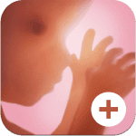grossesse ipa ipad iphone grossesse ipa ipad iphone