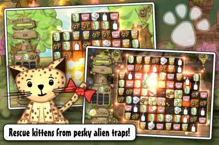 kitten-sanctuary kitten-sanctuary