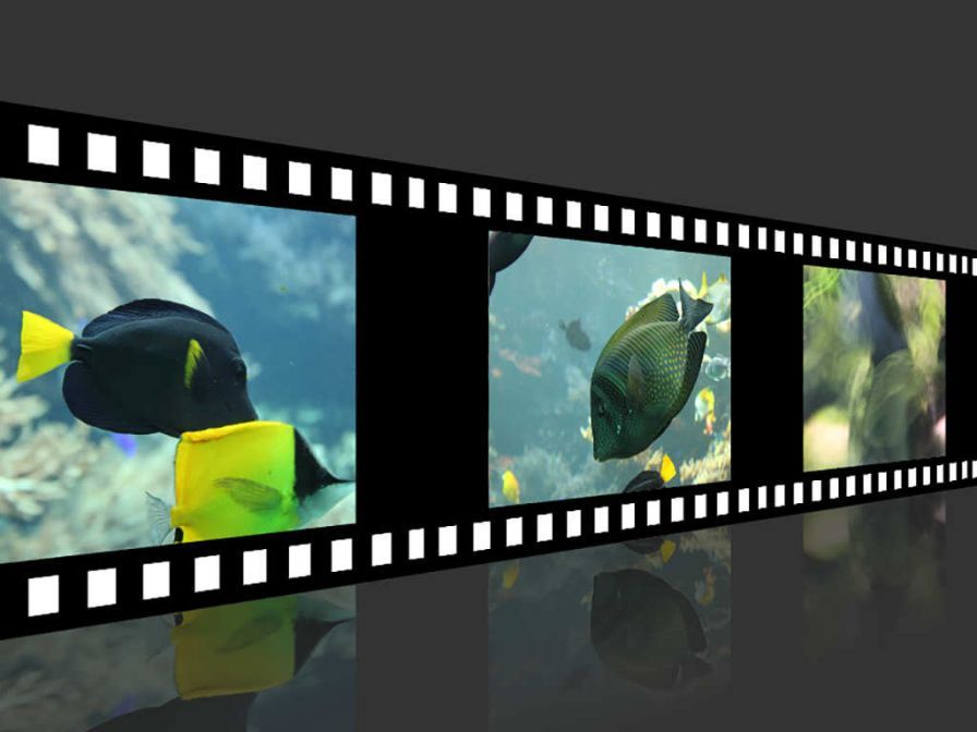 3d-photo-strips-the-amazing-fi ipa