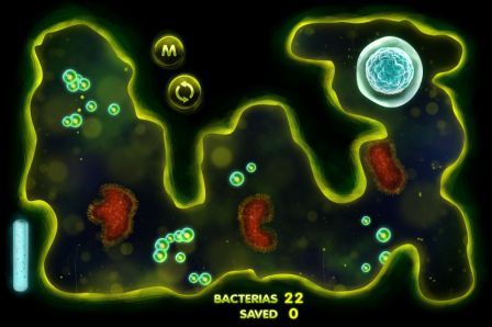 glow-worm glow-worm