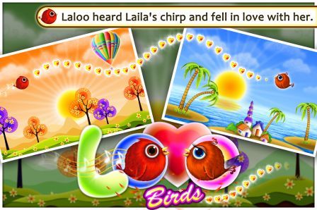 love-birds love-birds