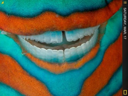 national-geogra national-geogra