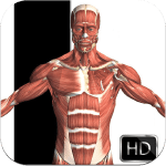 visual-anatomy ipa ipad iphone visual-anatomy ipa ipad iphone