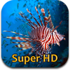 tropical-fish-retina-super-hd-2048-for-new-ipad-ipad tropical-fish-retina-super-hd-2048-for-new-ipad-ipad