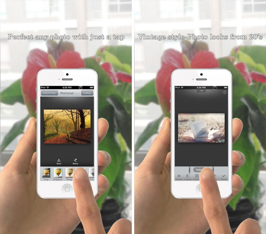 photocool-photo
