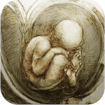 leonardo-da-vinci-anatomy ipa ipad