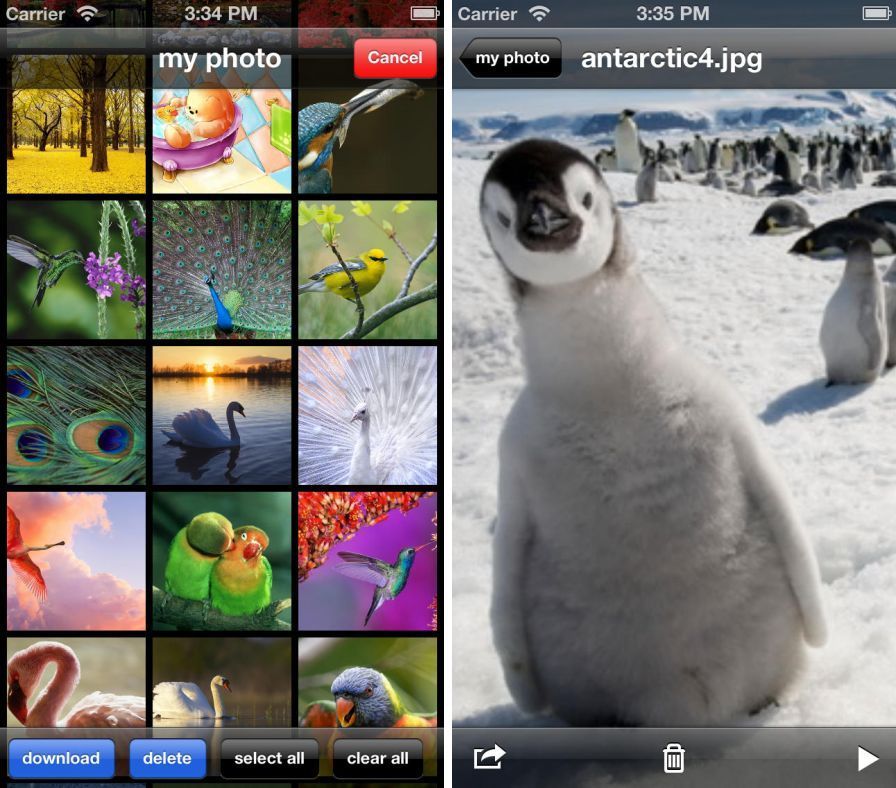 air-photos air-photos