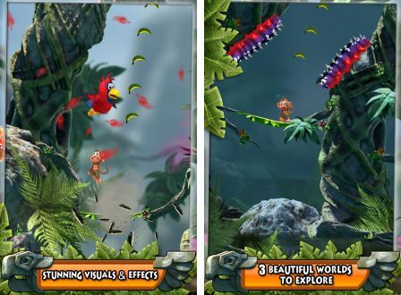 chimpact-1 chimpact-1