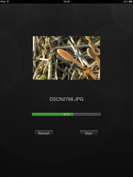 dc-copy-ipad dc-copy-ipad