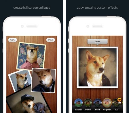 collagetastic collagetastic