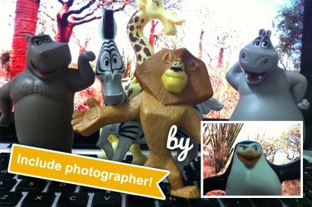 signature-camera-pro signature-camera-pro