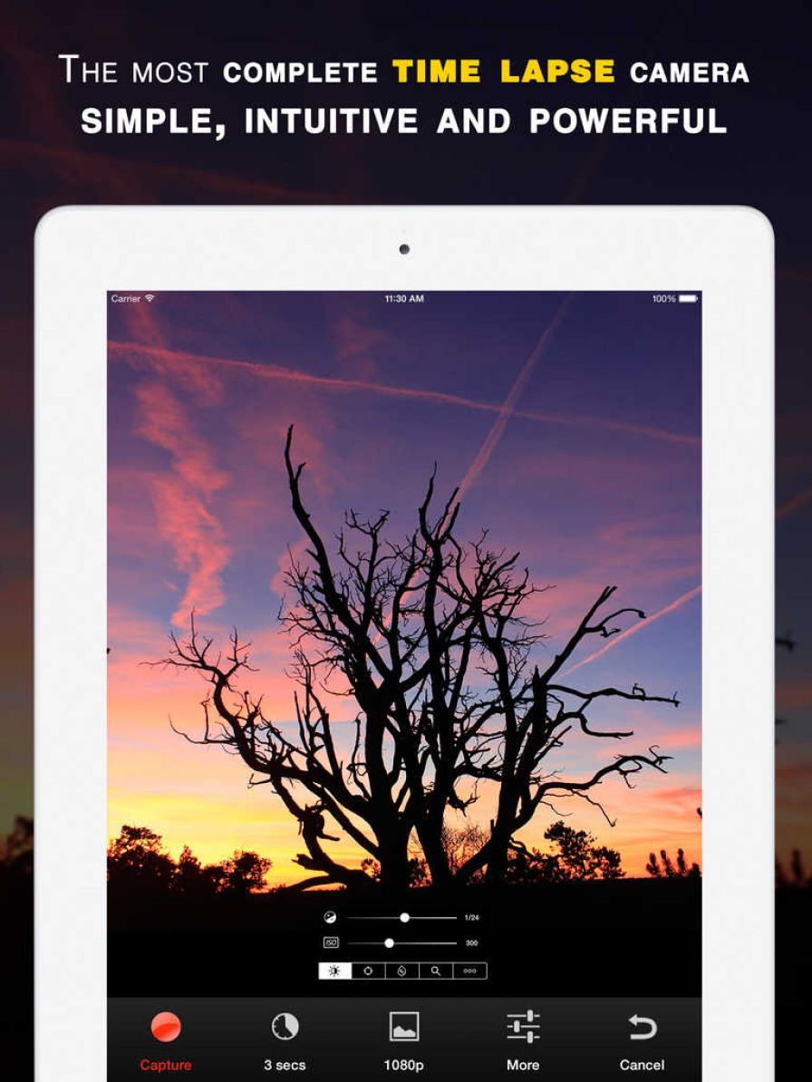 lapse-it-pro-a-accb-lb-rb-a-ti ipa