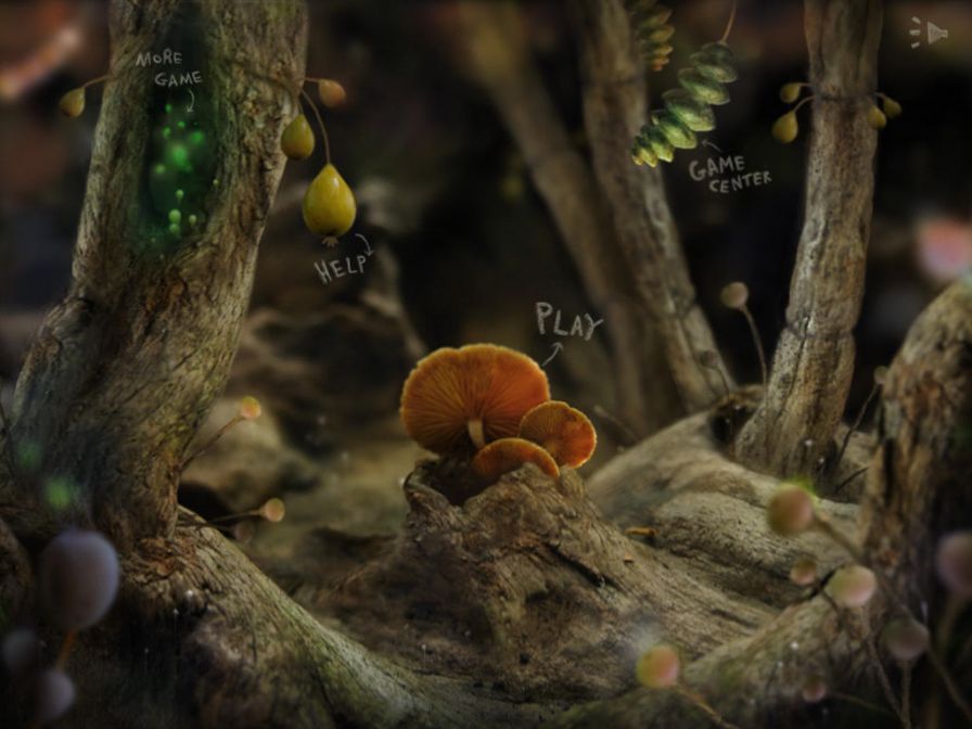 help-beetle-hom help-beetle-hom