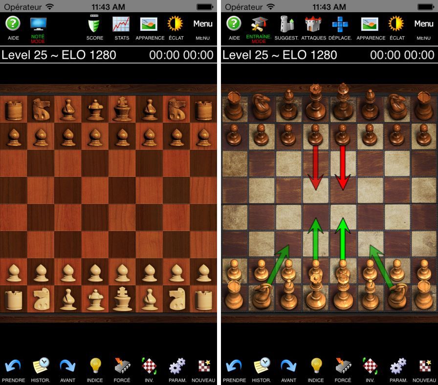 bochecs-professional ipa bochecs-professional ipa