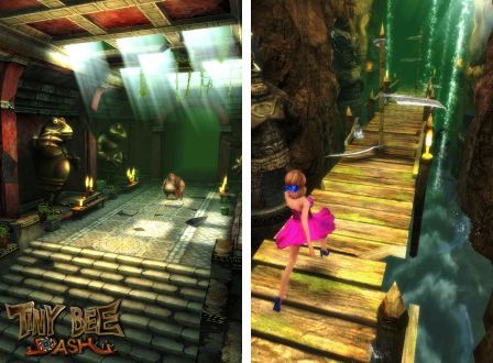 tinybee-dash-1 tinybee-dash-1