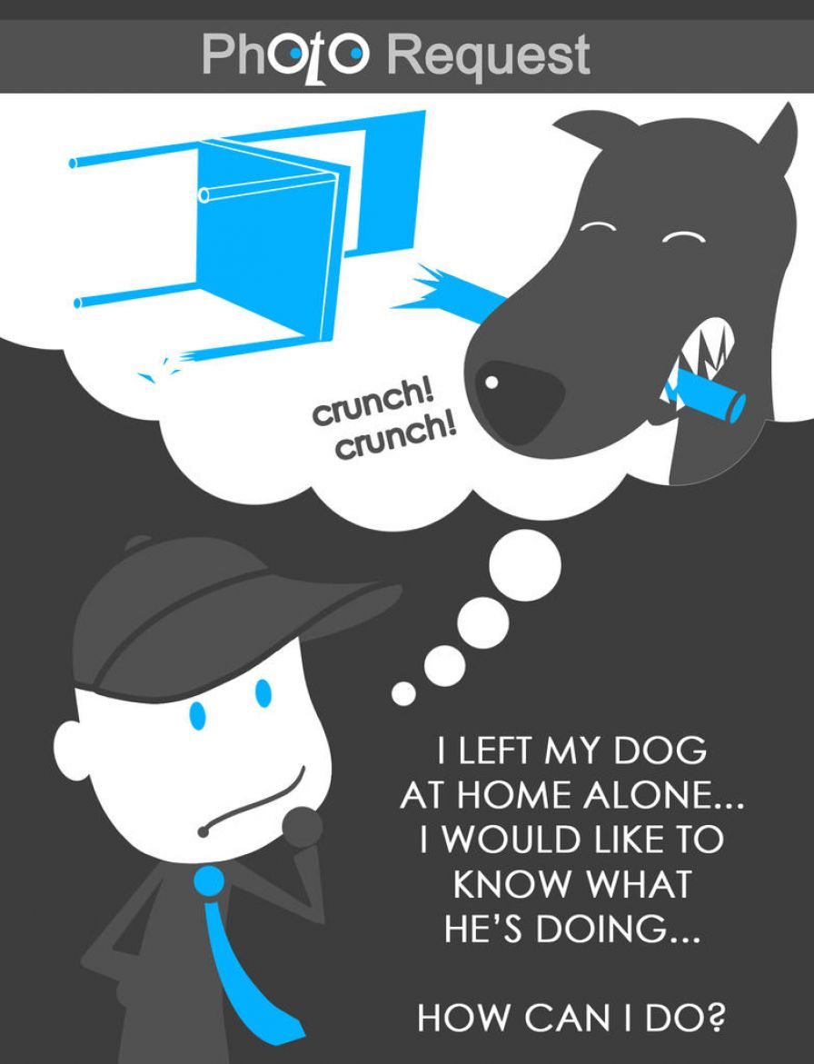 photo-request photo-request