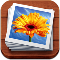 photoful albums icon