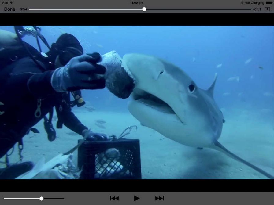 media-player-hd-pro-play-xvid- ipa media-player-hd-pro-play-xvid- ipa