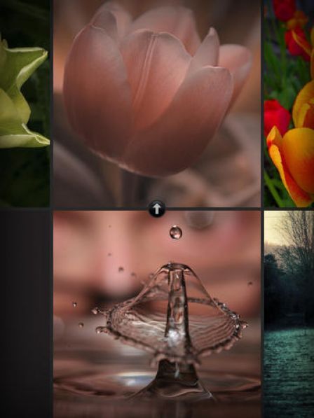 color-thief color-thief