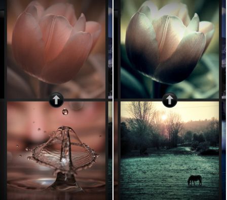 color-thief color-thief