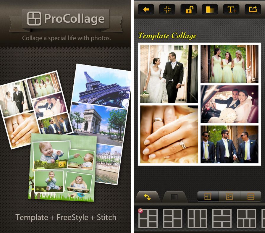 procollage-l-aoassemblage-crb- ipa