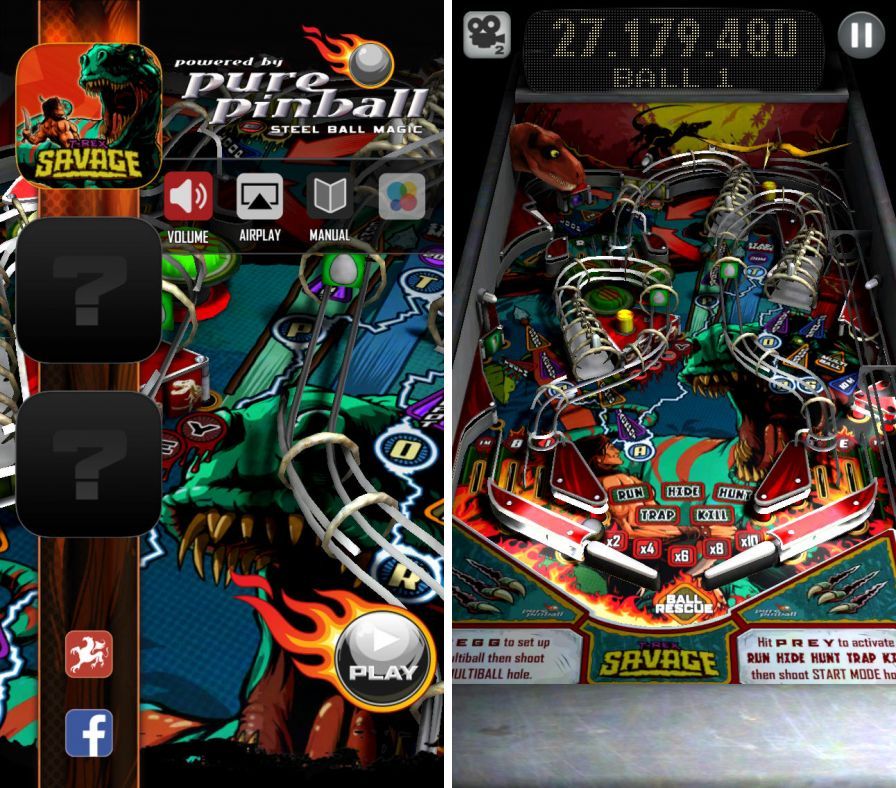 pure-pinball ipa pure-pinball ipa