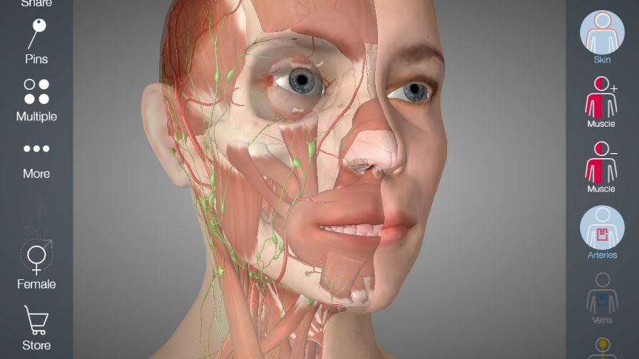 essential-anatomy-5 ipa essential-anatomy-5 ipa
