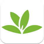 PlantNet 3.0 : le Shazam des plantes a bien poussé sur iOS