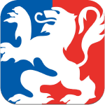 ville de lyon icon