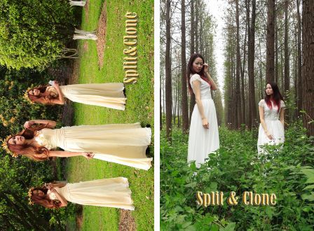 split-clone-aut split-clone-aut