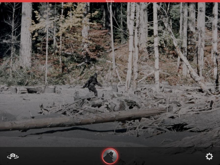 cambush ipa cambush ipa