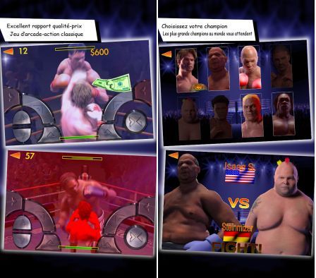 Champions Internationaux de Boxe Champions Internationaux de Boxe