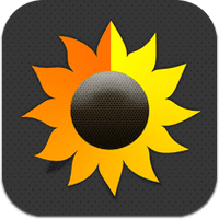 sunfollower icon