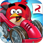 angry birds go icon