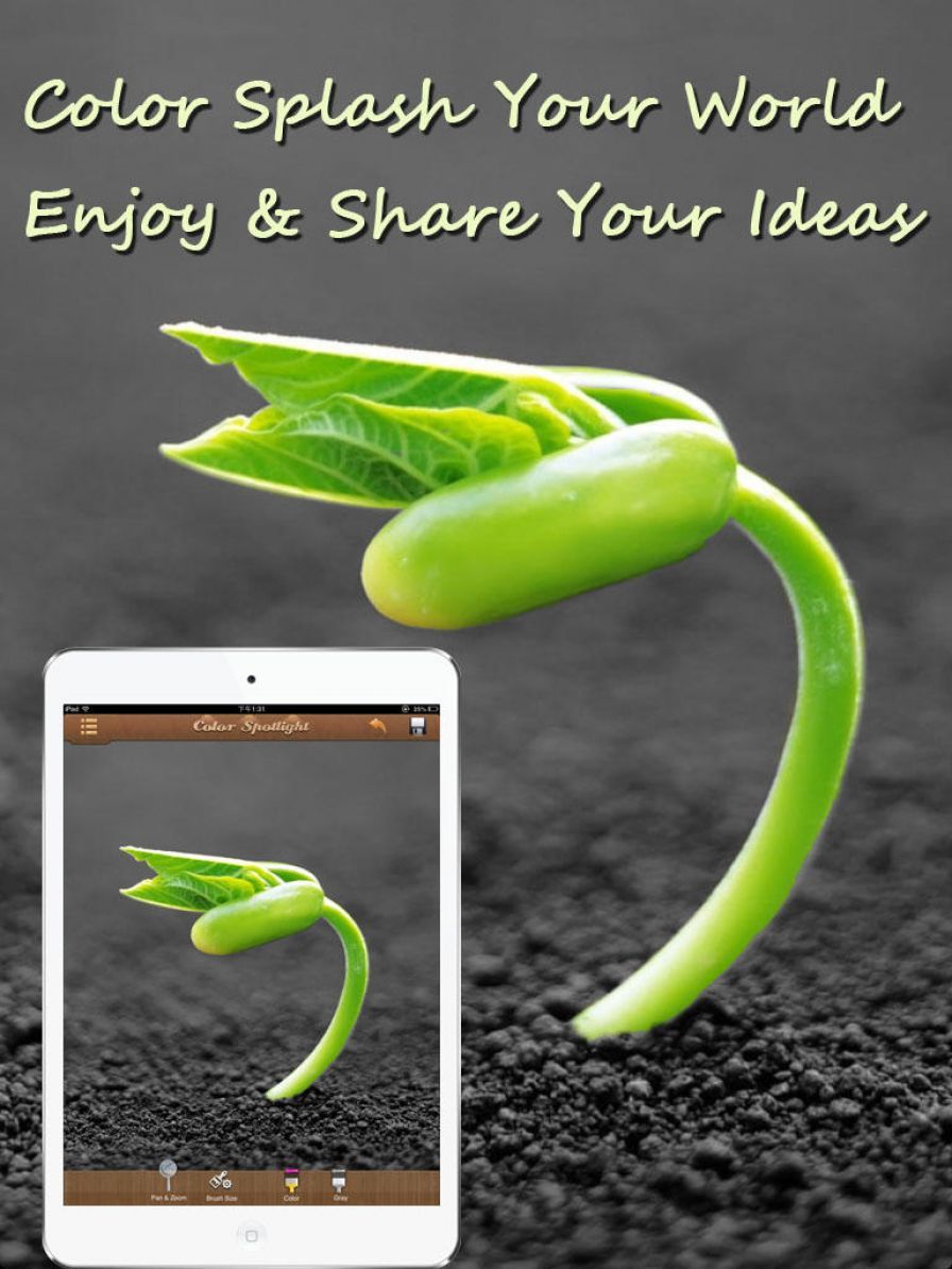 color-spotlight color-spotlight