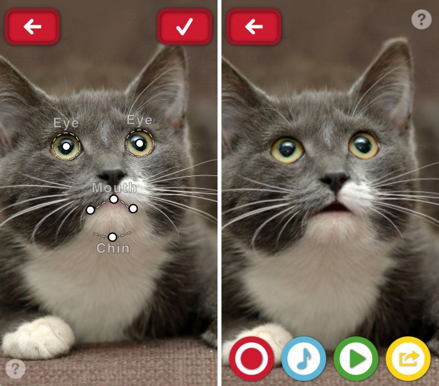 mon-animal-parle ipa