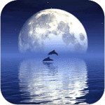reflection-create-water-reflec ipa iphone reflection-create-water-reflec ipa iphone