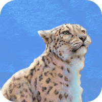 nature icone jeu ipa iphone