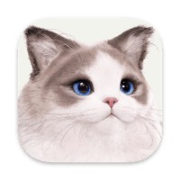inzoi icon