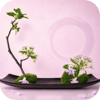 zen flowers icone app ipa iphone